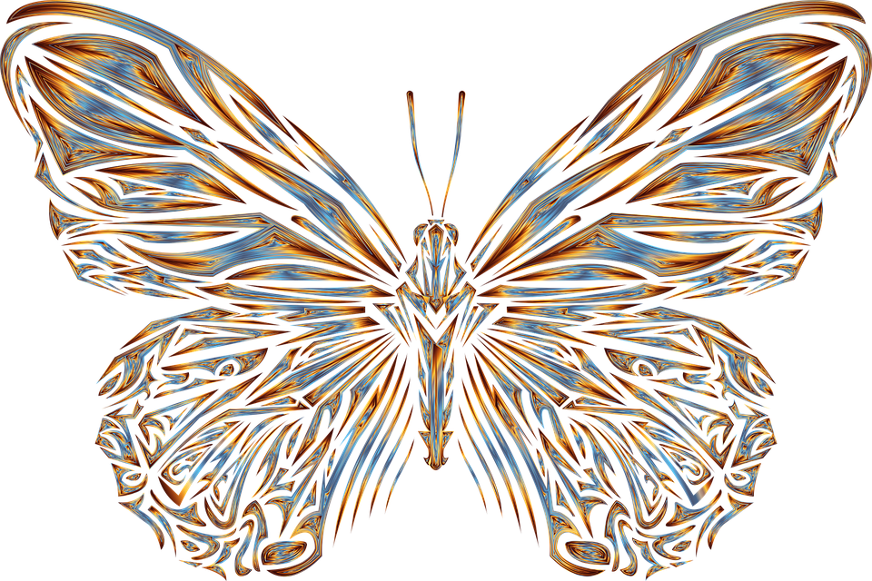 Na zdjęciu kolorowy motyl.